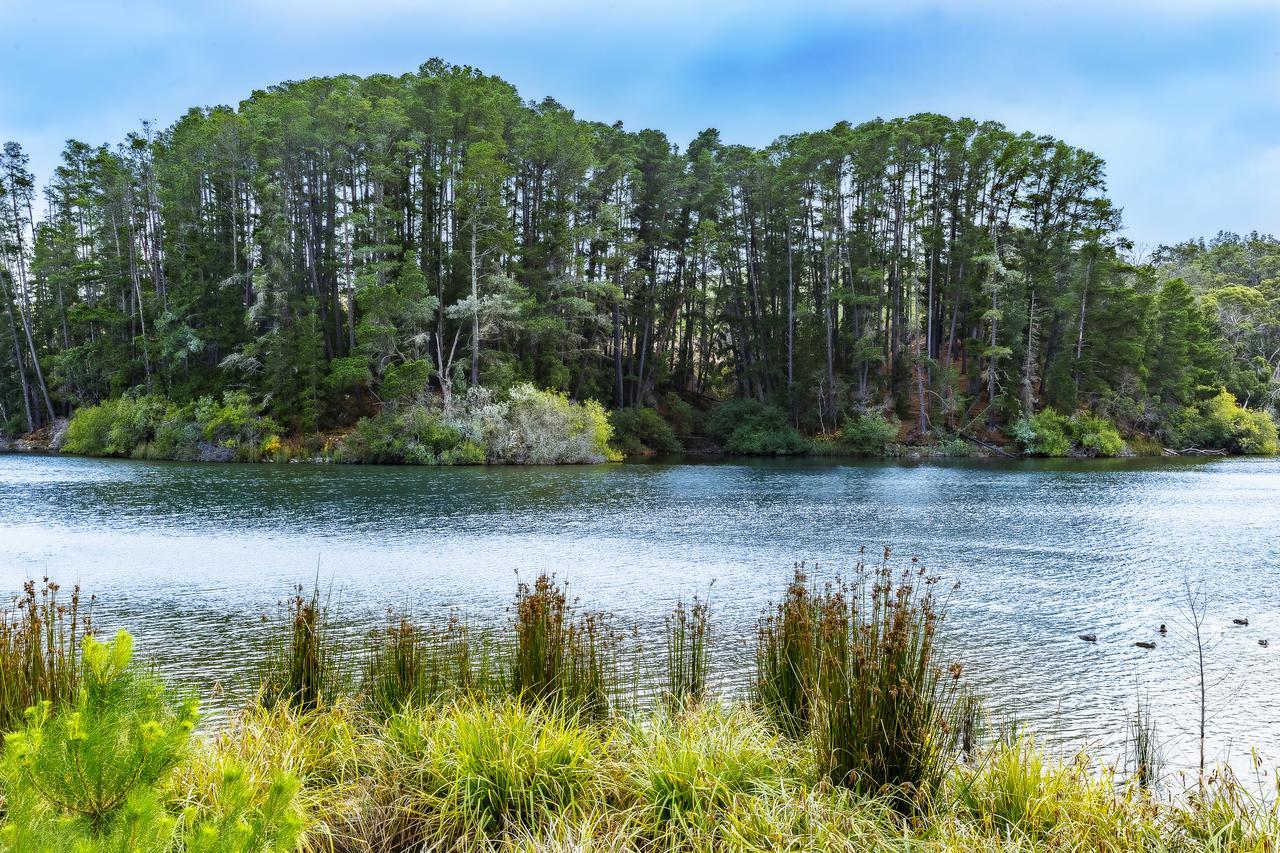 The Sebel Creswick Forest Resort Dış mekan fotoğraf